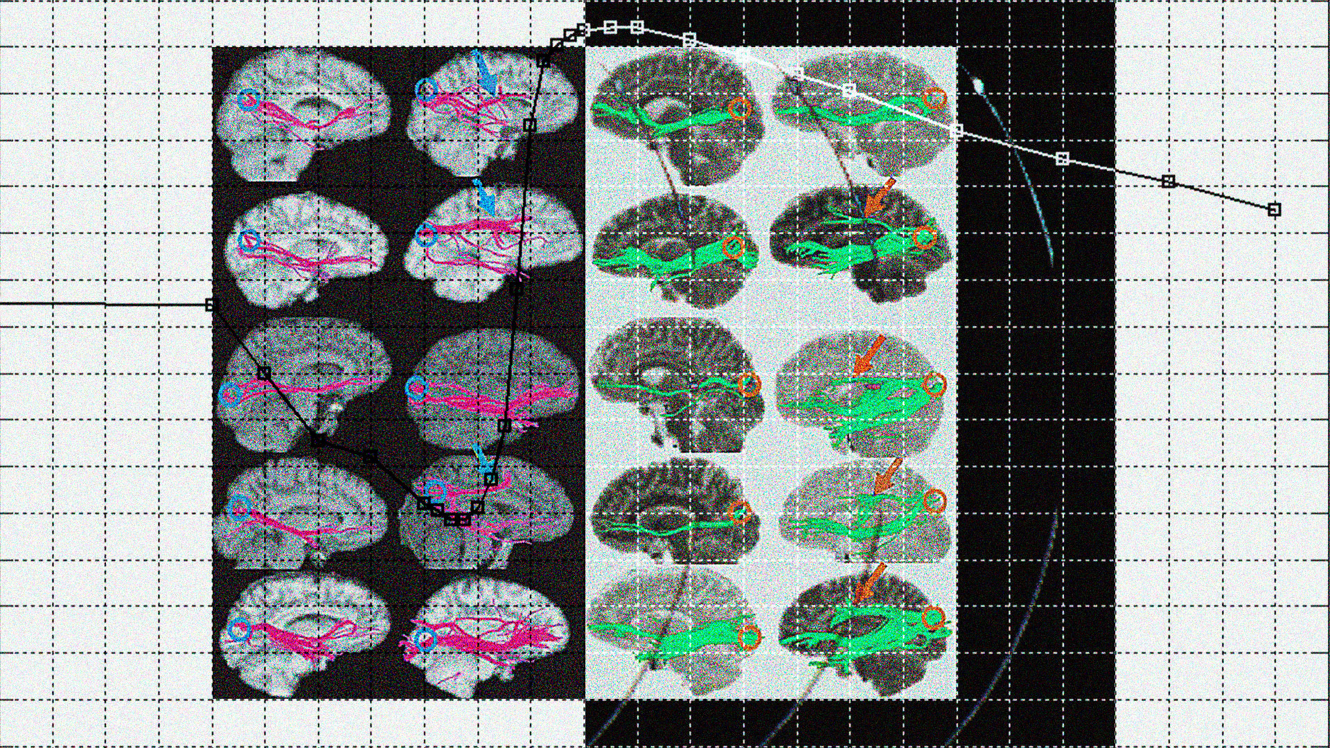 Researchers say their AI can detect sexuality. Critics say it’s dangerous